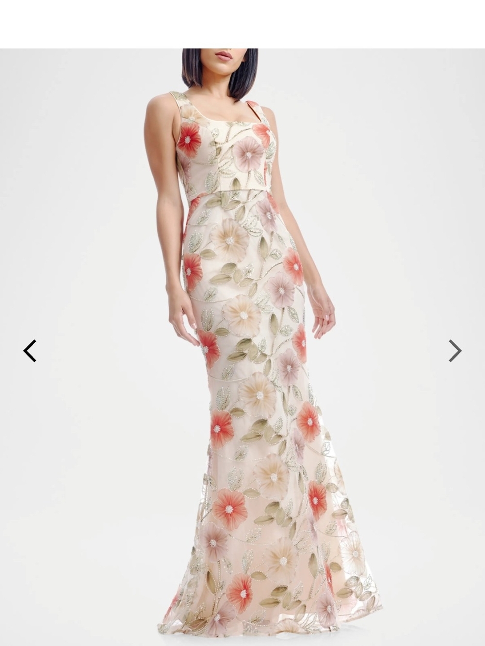 Tyra Sleeveless Beaded Tulle Applique Gown